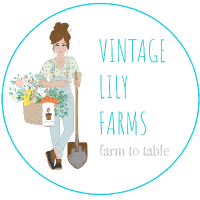Vintage Lily Farms